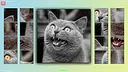 TitTok Kitty Demo Screenshot 5