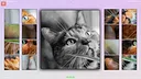 TitTok Kitty Demo Screenshot 2