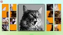TitTok Kitty Demo Screenshot 1
