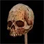 Skeletons icon