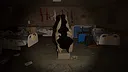 The Cursed Ward Screenshot 7