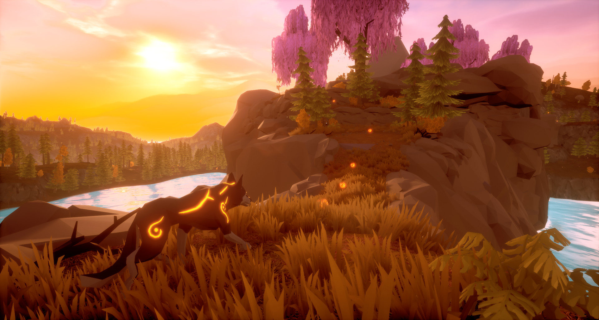 Paws and Soul: First Step Screenshot 2