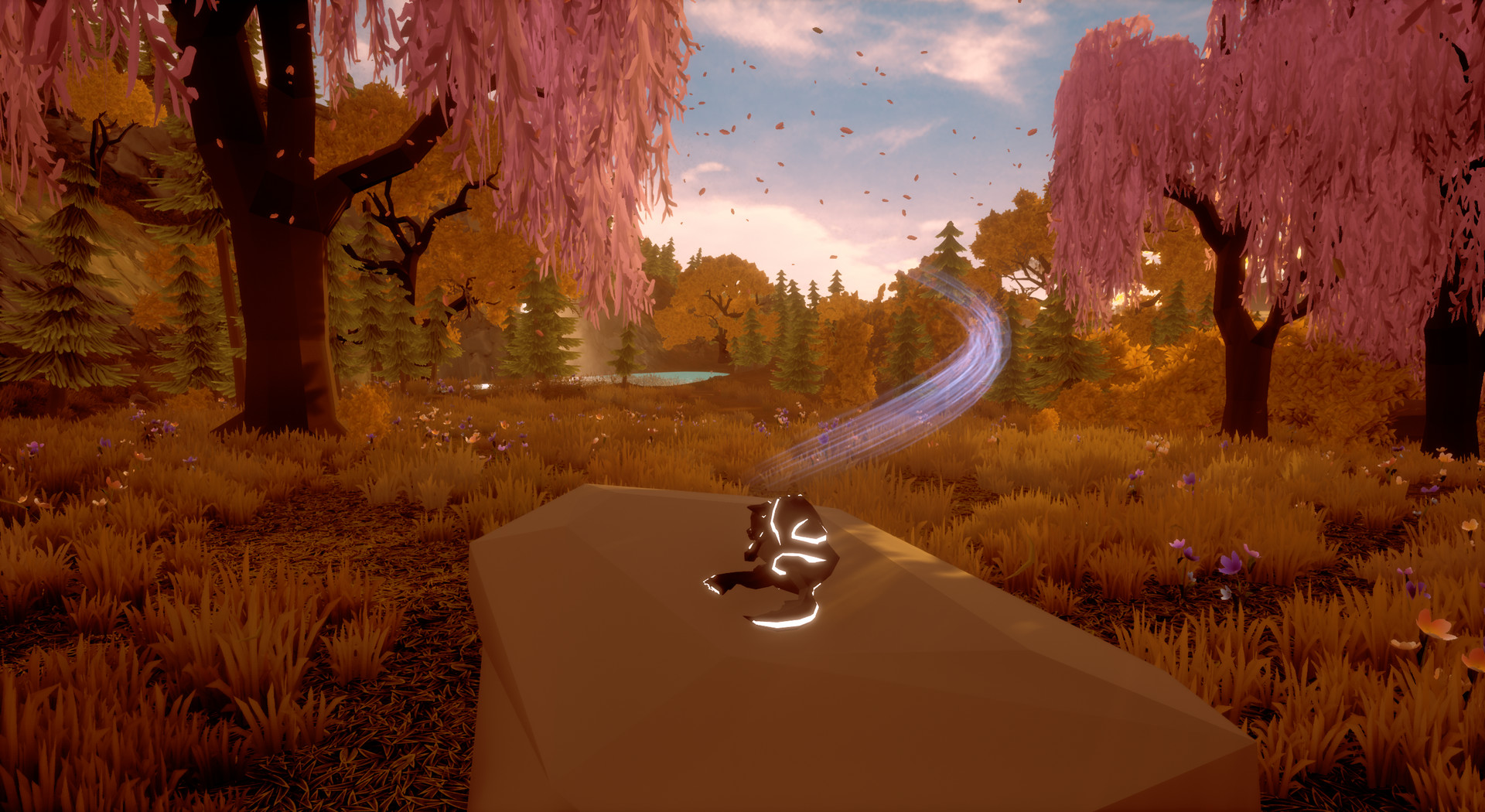 Paws and Soul: First Step Screenshot 1