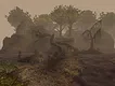 Zanzarah: The Hidden Portal Screenshot 1