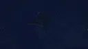 Gospel of Steel Screenshot 2