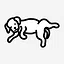 Lois icon