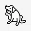 Pandora icon