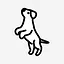 Ruffos icon