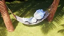 Komo: A Sunlit Journey Screenshot 3