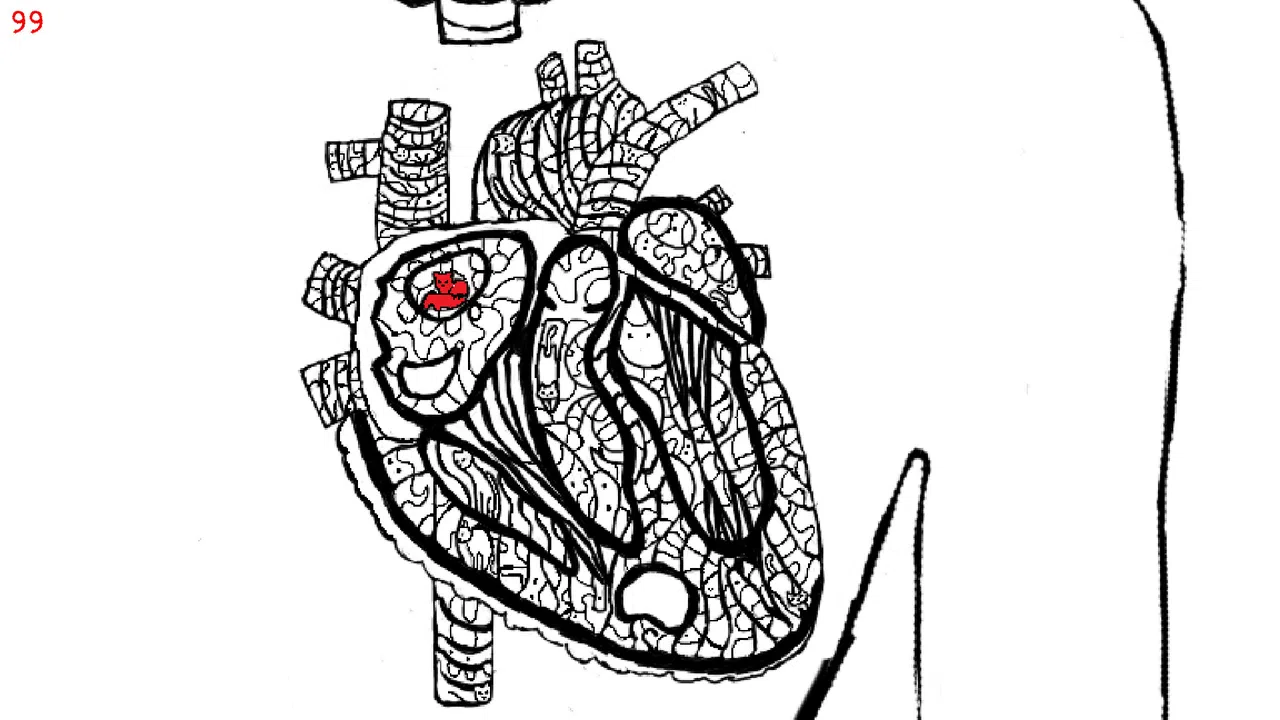 Let's Find Cats Inside the Human Body Screenshot 1