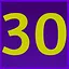 Level 30  icon