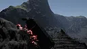 Root Scourge Screenshot 5