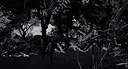 Phobia Screenshot 2