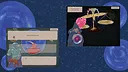 Scales of the Ibis Screenshot 0