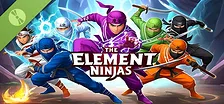 The Element Ninjas