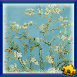 Almond Blossoms icon