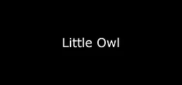 Little Owl Playtest