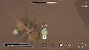 ALBERO Screenshot 3