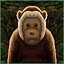 Primal Stare icon