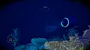 Wreck Below Demo Screenshot 1