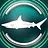 Blacktip shark