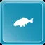 Koi Carp icon