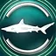 Spinner shark icon