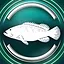 Atlantic goliath grouper icon