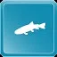 Brook Trout icon