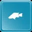 Red Breasted Tilapia icon