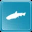 Flathead Catfish icon