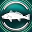 Red drum icon