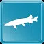 Pike icon