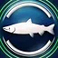 Chinook salmon icon