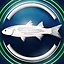 Flathead grey mullet icon