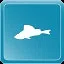 Yellow Perch icon