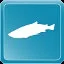 Atlantic Salmon icon
