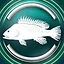 Black sea bass icon