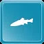 Bull Trout icon