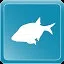 Bream icon
