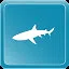 Blacktip Reef Shark icon