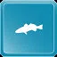 Spotted Sea Trout icon
