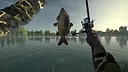 Ultimate Fishing Simulator VR Screenshot 14