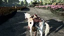 Reign and Ruin Screenshot 8
