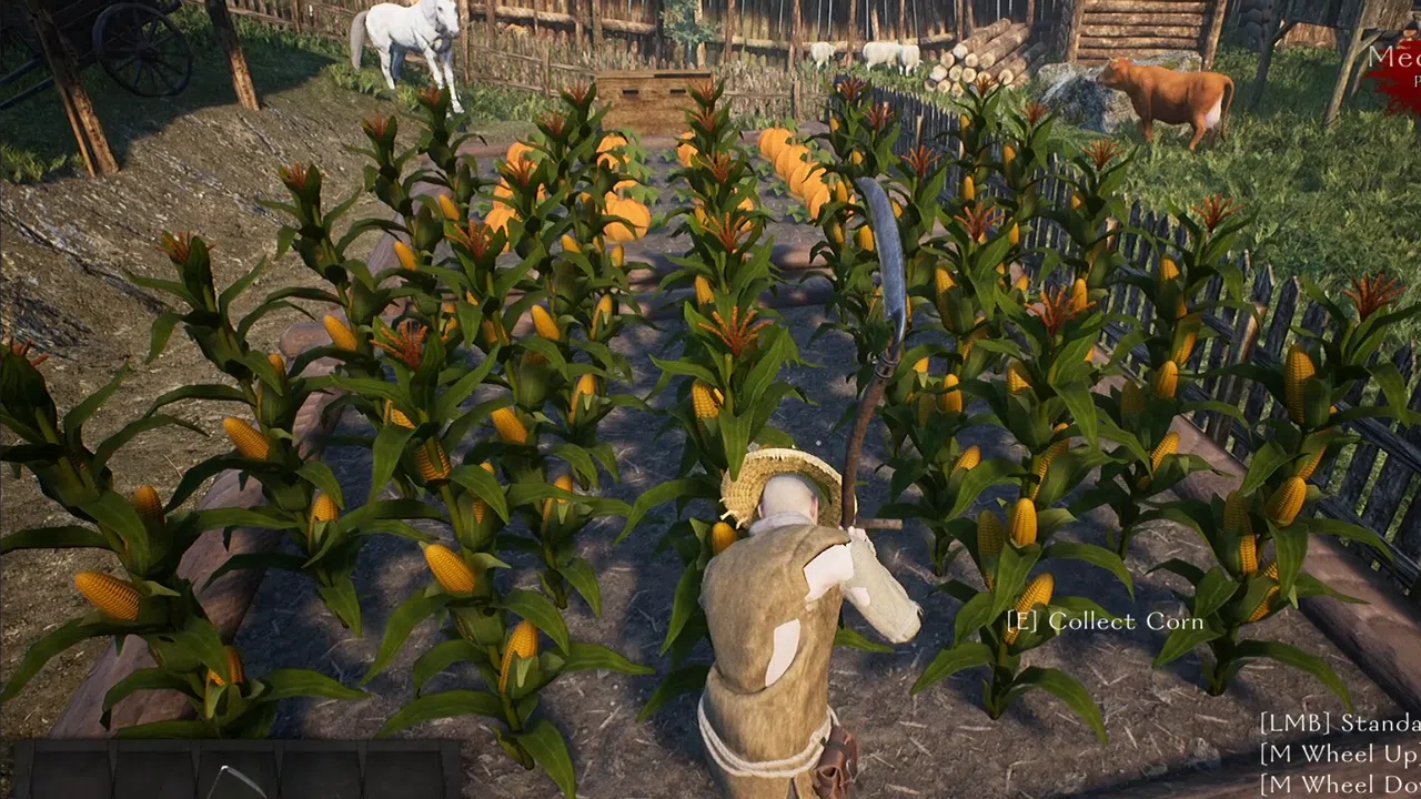 Reign and Ruin Screenshot 11