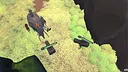 WildBorn Screenshot 3