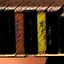Avid Reader icon