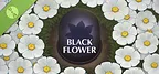 Black Flower Demo