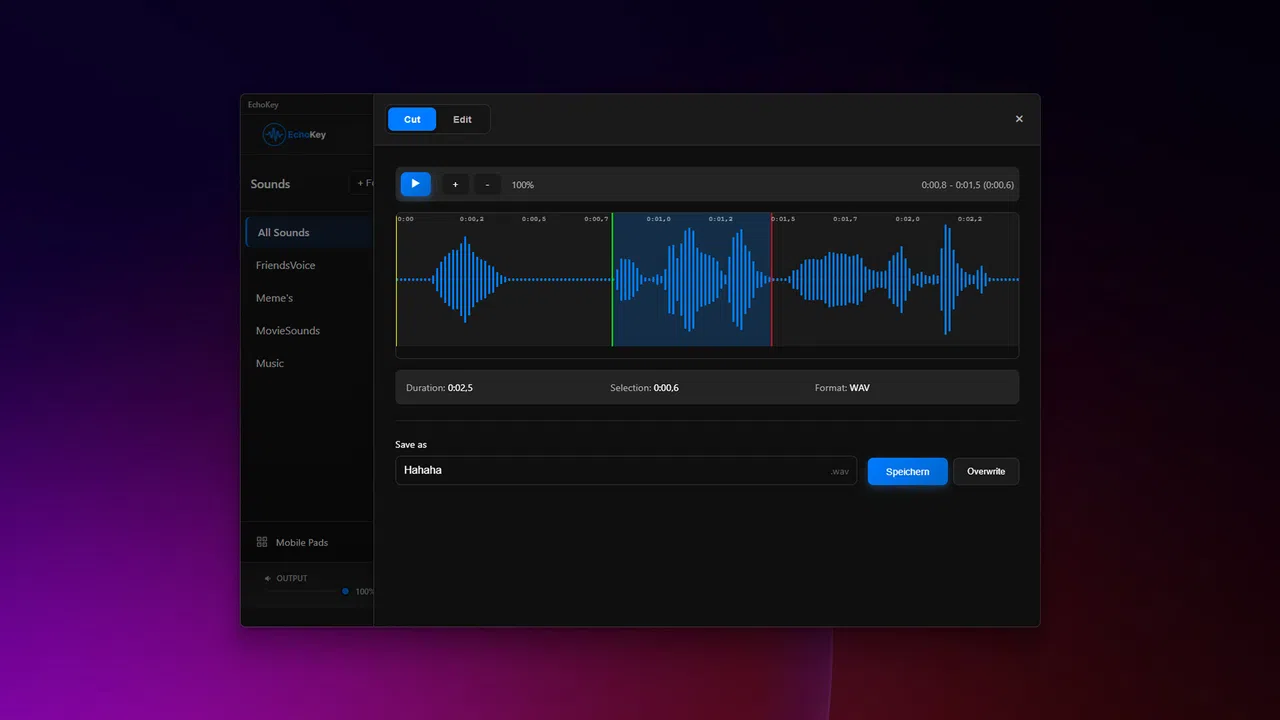 EchoKey Screenshot 10