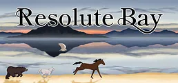 Resolute Bay Playtest